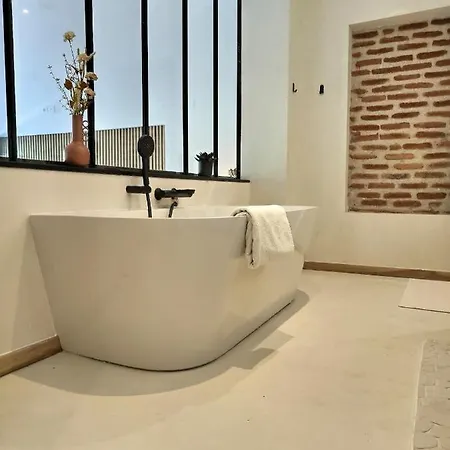 Le Jardin Secret - Piscine - Clim - Haut De Gamme Albi Exterior photo