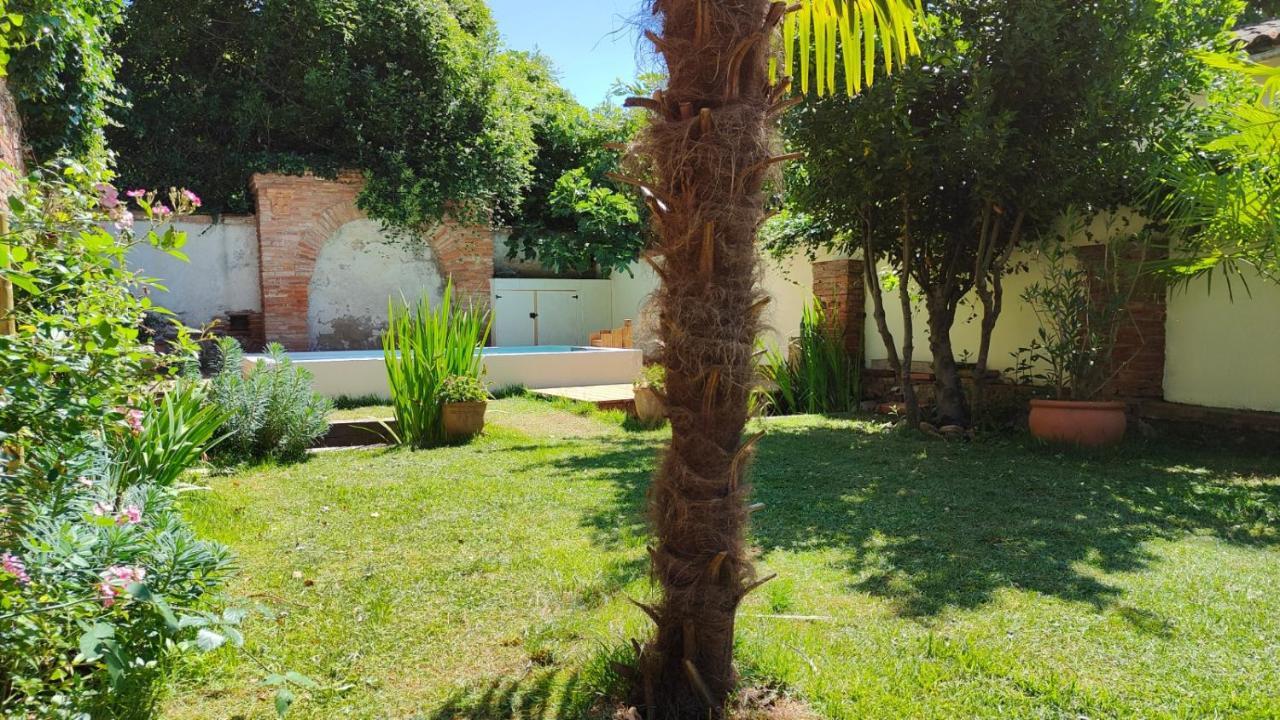 Le Jardin Secret - Piscine - Clim - De Gamme